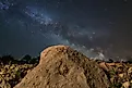 Ammonite under the starry sky