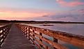 Huntington Beach State Park, Murrells Inlet, South Carolina.