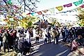 New Mexico's communities are full of rich culture, like the Day of the Dead celebration pictured here