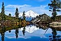 Mount Shasta