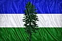 The flag of the Cascadia bioregion movement, known as the Doug flag.