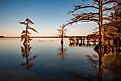 Landscapes of Reelfoot Lake Tennessee in Winter