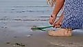  Jellyfish Washed out on Seashore Beach Sand
