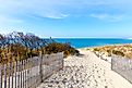 A pathway leading to the beach at Cape Henlopen State Park.