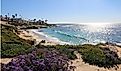 San Diego, La jolla.