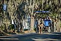 Beaufort, South Carolina. Editorial credit: Carrie A Hanrahan / Shutterstock.com