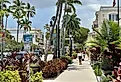 Downtown street in Naples, Florida. Image credit Paulm1993 via Shutterstock