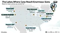 Infographic of record common carp sizes across lakes in North America. 