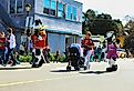 Chick-fil-A and the Chick-Fil-A eat mor chickin cows in the 31st annual Daffodil fest and parade, in Gloucester, Virginia. Image credit Barry Blackburn via Shutterstock