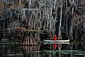 Woman in bright red dress standing in a canoe paddling under Bald Cypress Trees and Spanish Moss on Caddo Lake in Texas