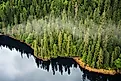 Aerial view of the mist hanging in the Tongass temperate rain forest, Misty Fjords National Monument, Alaska. 