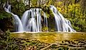 Raymondskill Falls Waterfall in green forest.