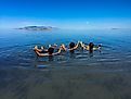 People floating in the Great Salt Lake.
