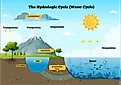 The water cycle.
