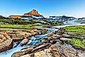montana