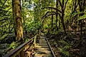 Great Otway National Park.