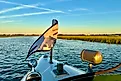 Serene River Cruises Amelia Island can get you places other boats cant go. Image credit: Bryan Dearsley