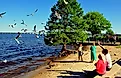 New Bern, North Carolina: Family feeding a flock of flying seagulls on the banks of the Neuse River, via LEE SNIDER PHOTO IMAGES / Shutterstock.com