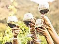 Hands toasting red wine glass and friends having fun cheering at winetasting experience.