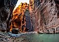 The Grandeur of the Narrows of Zion, Top-Down Trail, Zion National Park, Utah. 