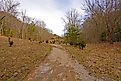 Heading to Cumberland Gap on the Wilderness Road in Cumberland Gap National Park in Kentucky