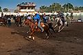 Wrangling rodeo cowboys in Fallon, Nevada. Image: TLF Images / Shutterstock. 