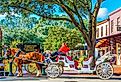 Downtown street with horse and carriage in Savannah, Georgia. Image credit Darryl Brooks via Shutterstock