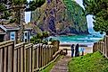 Beach at Cannon Beach, Oregon