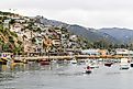 Avalon California