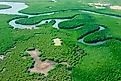 Amazon River in the Amazon Forest of Brazil