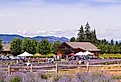 Lavender farms in Hood River, Oregon. Image credit: Victoria Ditkovsky / Shutterstock.com.