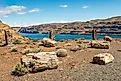 Ginkgo Petrified Forest State Park in Washington State. 