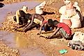 The mining industry in Africa often heavily exploits humans for labor.