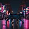A depiction of a black panther walking the streets of Florida at night
