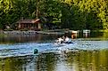 Kawartha Lakes