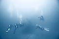 Divers searching for a shipwreck at sea.
