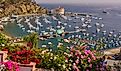 Avalon, Santa Catalina Island. Editorial credit: Rob Crandall / Shutterstock.com
