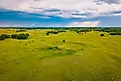 An expansive aerial view captures cattle grazing and feeding across the vast, undulating landscapes of the Sheyenne National Grassland in North Dakota