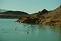 Coot birds flying over water in Lake Havasu, Arizona.