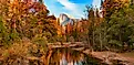 Colorful Trees, with a river and mountains in Yosemite National Park, California