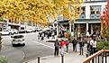 Friday Harbor, Washington: A view of the traffic circle on Front Street and Spring Street.