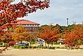 University of Mississippi campus building, Oxford in the fall. Image credit Feng Cheng via Shutterstock