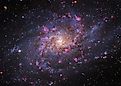 The Universe