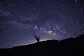 Milky way over Anza Borrego state park. 
