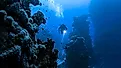 Underwater diver in deep sea dive. 
