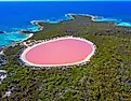 Lake Hillier on Middle Island in Western Australia is famous for its striking pink-colored water. 