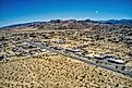 Joshua Tree 