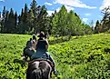 Horseback riding in Wyoming.