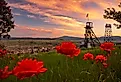 View of the town of Butte, Montana, through red flowers with mountain range in the distance.