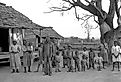 Descendants of former slaves of the Pettway plantation, Alabama, US.